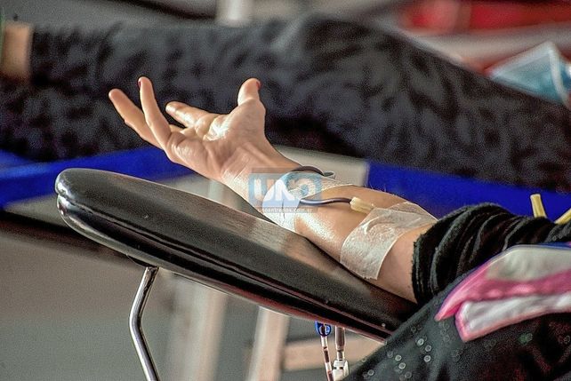 Sacarse sangre para saber si uno es donante de médula ósea.
