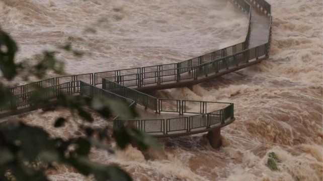 Crecida del río Iguazú: mantienen el monitoreo permanente