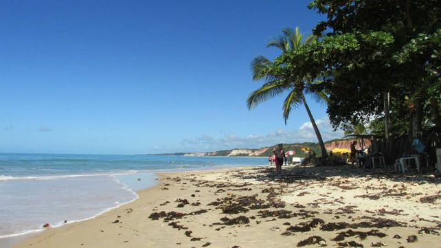 Promociones. Se consiguen buenos precios para viajar al norte de Brasil.