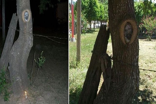 Vecinos ven la cara de Jesús en un árbol del Chaco