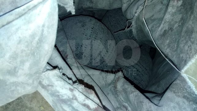 Secuestraron especies autóctona de caza prohibida
