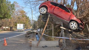 Accidente de película: un policía terminó con su auto sobre un árbol
