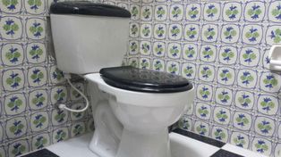 ¿Por qué el mundo conmemora hoy el Día del inodoro?