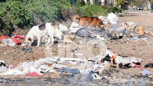 En barrio Roma solicitan que se erradique un basural