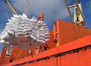 Donald Trump impuso aranceles: fijó una tasa del 10% para los productos que ingresen de Argentina