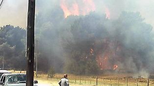 Un incendio forestal en Claromecó obligó a evacuar a cientos de personas