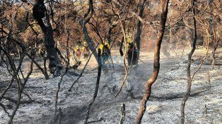 Investigación intenta determinar responsabilidad de funcionarios en el manejo del fuego del incendio detectado el 9 de diciembre en el Parque Nacional Los Alerces&nbsp;