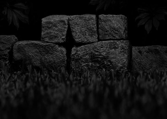 2020. Paisajes del encierro. Día 49. Gentileza Norberto Puzzolo.
