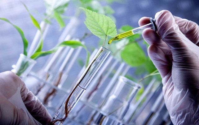 Los primeros biotecnólogos de Rosario celebran 30 años de recibidos en la carrera del futuro