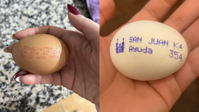 Dos huevos se volvieron virales en las redes sociales por llevar particulares mensajes