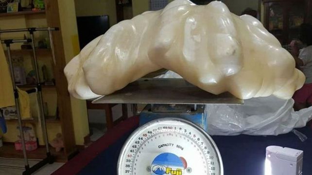 Un pescador encontró una perla de 34 kilos, la más grande del mundo