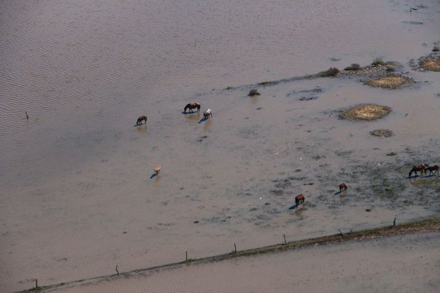 Las inundaciones afectan al severamente sector productivo de Santa Fe.&nbsp;