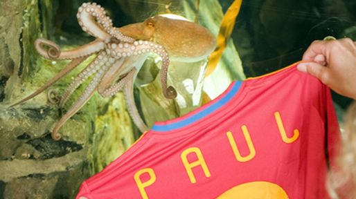 Paul, &iacute;dolo en la ciudad espa&ntilde;ola donde se celebra la Fiesta del Pulpo