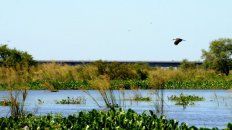 El humedal define a grandes extensiones de tierra que permanecen inundadas o tienen el suelo saturado de agua por largos períodos de tiempo. El humedal define a grandes extensiones de tierra que permanecen inundadas o tienen el suelo saturado de agua por largos períodos de tiempo.