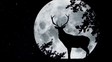 Luna de ciervo