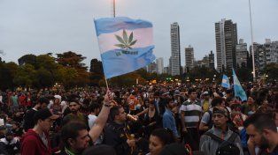 Cannabis: crecen los reclamos por la despenalización y las críticas al poder político