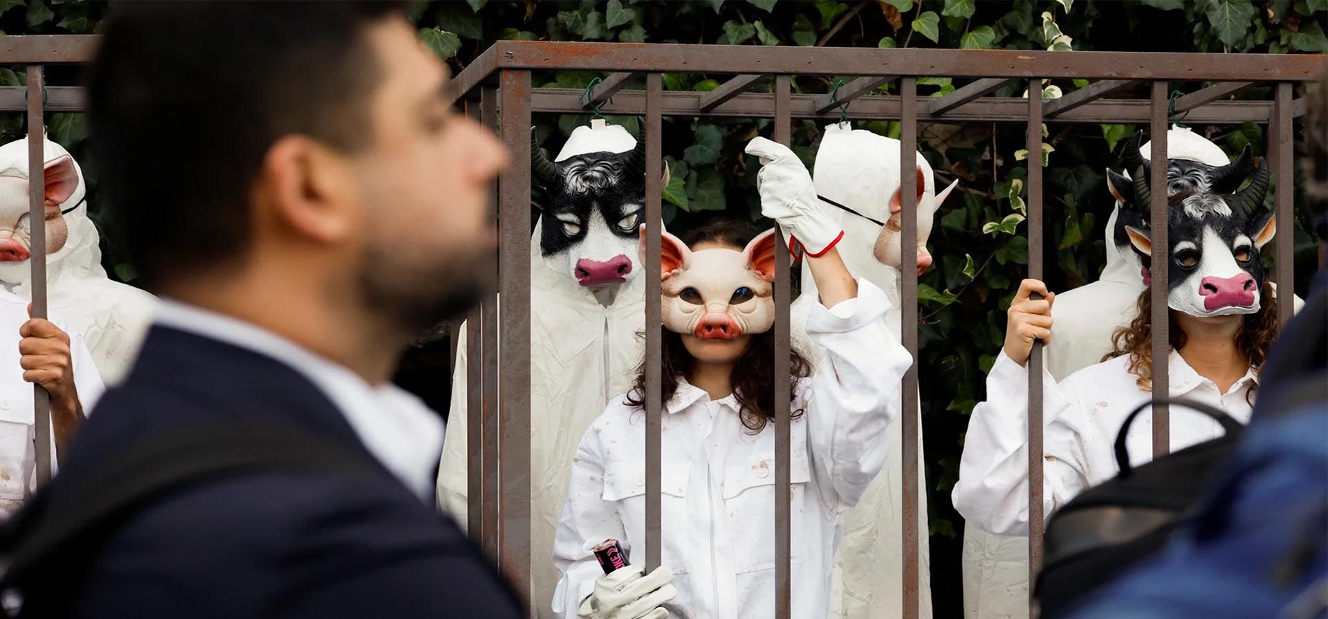 Activistas de Greenpeace organizan una protesta en la sede de la ONU para la Agricultura y la Alimentación (FAO) mientras los delegados llegan a la conferencia. Los manifestantes se encuentran entre varios grupos que piden una transición justa de la agricultura industrial, Roma, Italia. Fotografía: Remo Casilli/Reuters Activistas de Greenpeace organizan una protesta en la sede de la ONU para la Agricultura y la Alimentación (FAO) mientras los delegados llegan a la conferencia. Los manifestantes se encuentran entre varios grupos que piden una transición justa de la agricultura industrial, Roma, Italia. Fotografía: Remo Casilli/Reuters