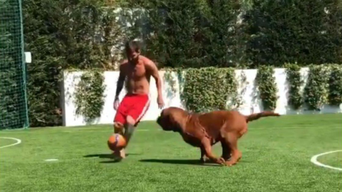 Messi vuelve loco a su mascota y le tira sombreritos