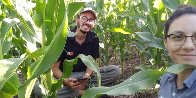 Monitoreo agrícola y herramientas digitales: programa gratuito para estudiantes