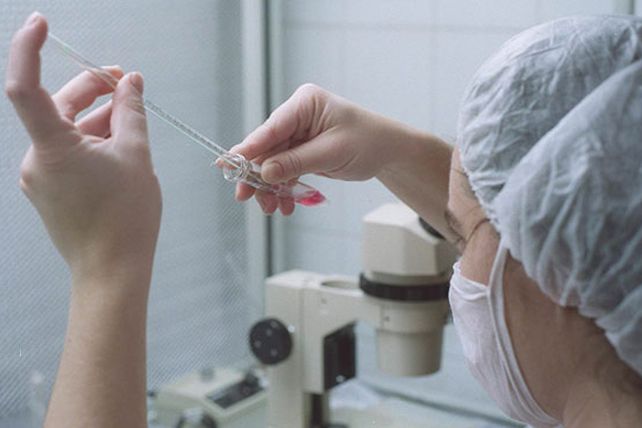 Iapos presentó el programa de fertilización asistida para afiliados