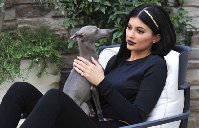 Kylie Jenner fue retratada en la paz de su hogar con un curioso motivo brillante en el pelo.
