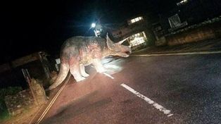Un dinosaurio apareció en un camino rural y causó pánico