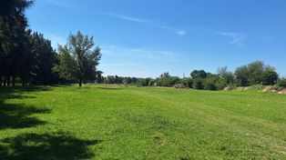 Los vecinos de los barrios Stella Maris y La Bombacha piden una cancha de golf con nueve hoyos en el Bosque de los Constituyentes.