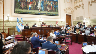 En la Cámara de Diputados provincial el tratamiento de la reforma judicial fue picante.