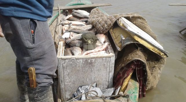 Secuestraron redes de pesca y pescados depredados
