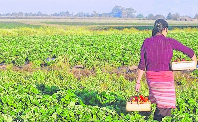 El 15 de octubre se conmemora el Día Internacional de las Mujeres Rurales.