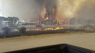 Un incendio en 50 hectáreas de bosque alarmó a Cariló: evacuados y casas destruidas