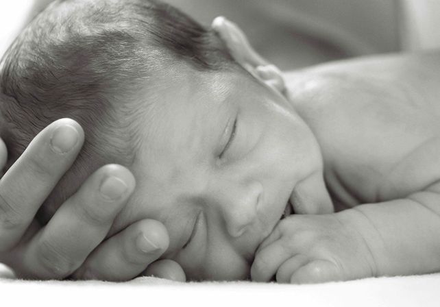 Necesitan un hogar. El amor que se les puede brindar desde la solidaridad es crucial.