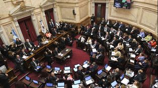 Ley de alquileres. El Senado introdujo modificaciones al proyecto que había aprobado la Cámara de Diputados.
