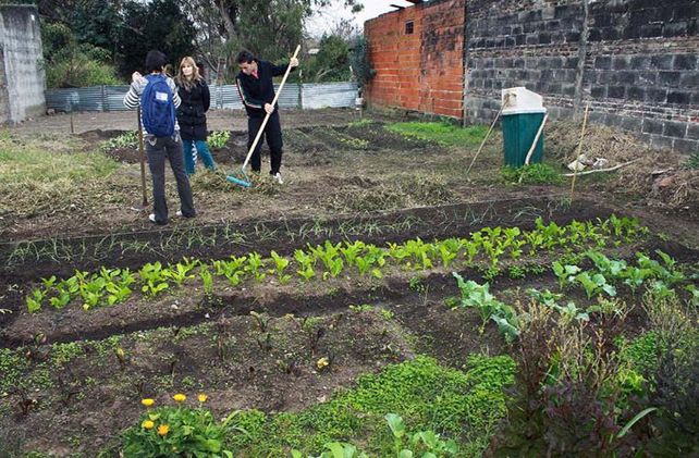En plena tarea. El esfuerzo diario de estas familias es lo que les asegura un sustento cada mes.