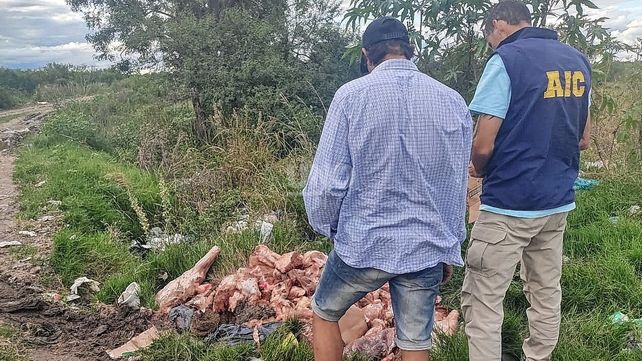 Detuvieron a una banda de 15 delincuentes por robos en San Javier