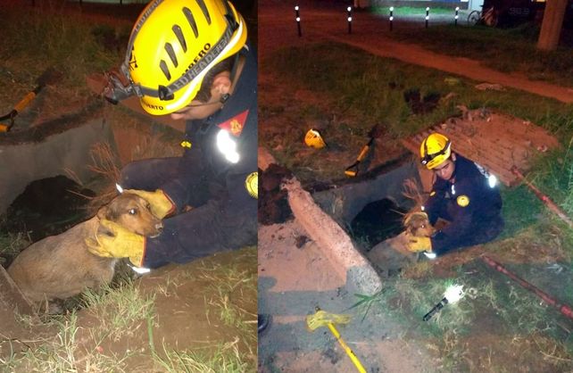Los bomberos que participaron del rescate son Demian Guzmán