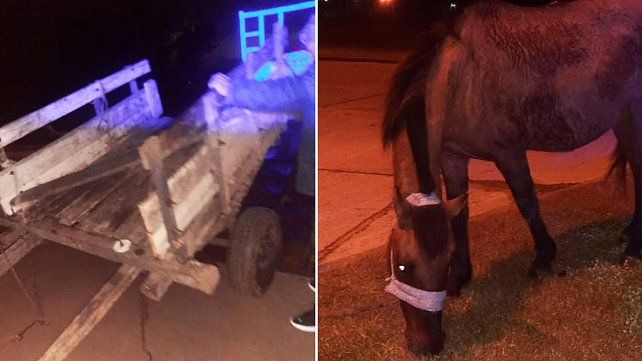 Un joven de 23 años fue detenido esta madrugada por maltrato animal