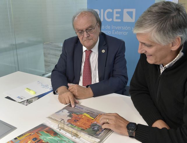 El titular del Bice