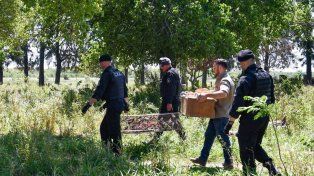Santa Fe endurece las multas contra la caza y el comercio ilegal de fauna silvestre