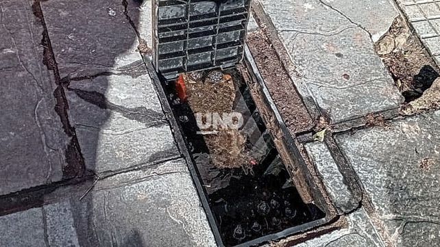 Robos de medidores: Vecinos del barrio Sur sufrieron hurtos de medidores y cañerías de agua y gas durante el fin de semana largo.