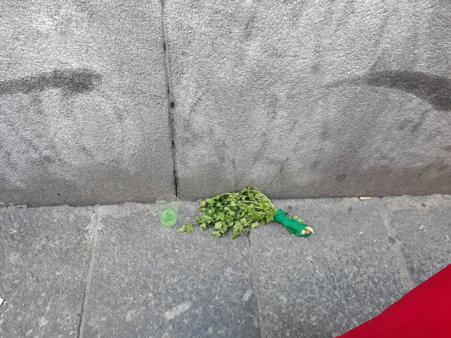 Una rama de perejil fue puesta frente al Congreso para denunciar la muerte de Liz