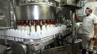 El gobierno suspende las retenciones a las exportaciones lácteas