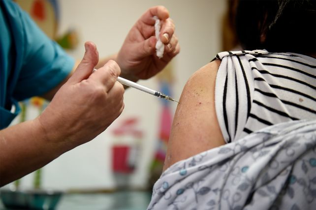 Confirmaron que hubo 35 muertos por Gripe A en todo el país.