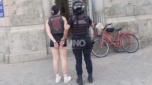 La mujer detenida tras los robos en el supermercado Alvear