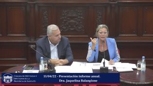 Jaquelina Balangione, defensora provincial, este martes en la Cámara de Diputados