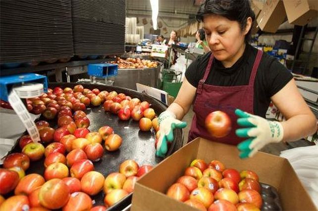 Economías regionales: las exportaciones aumentaron en toneladas, pero ingresaron menos dólares