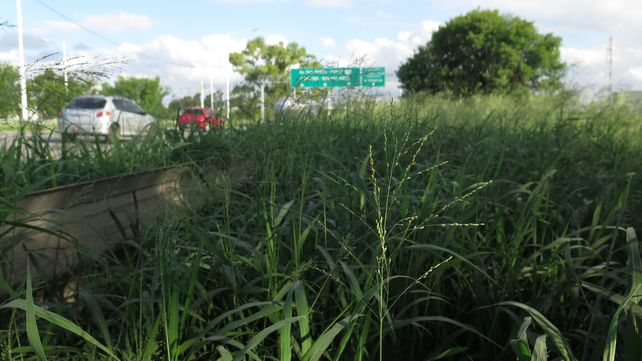 Mantener Circunvalación cuesta unos 360 millones de pesos mensuales que nadie pone