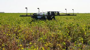 El agro avanza hacia la inteligencia artificial de sus máquinas.