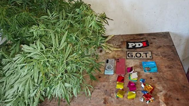 Microtráfico: pesquisas de la PDI aprehendieron a nueve personas en seis allanamientos en barrio San Agustín II