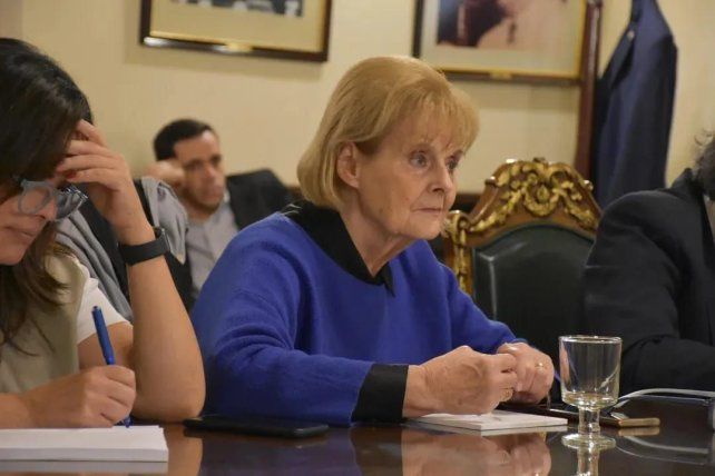 UCR le pide a la senadora Olalla que no acompañe algunos puntos de la Ley Bases